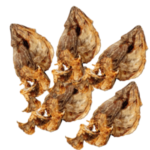 Stock Fish Head